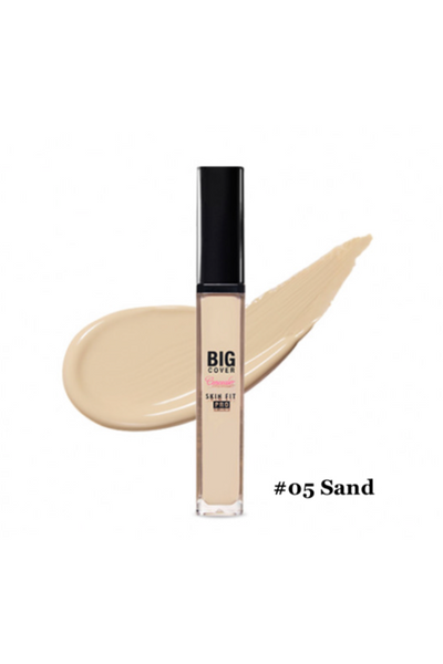 ETUDE HOUSE Big Cover Skin Fit Concealer Pro 7g