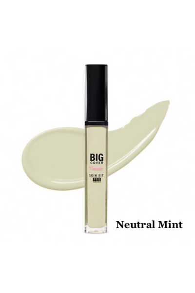 ETUDE HOUSE Big Cover Skin Fit Concealer Pro 7g