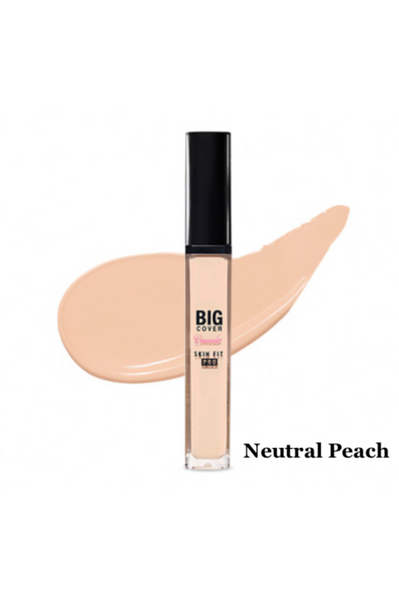 ETUDE HOUSE Big Cover Skin Fit Concealer Pro 7g